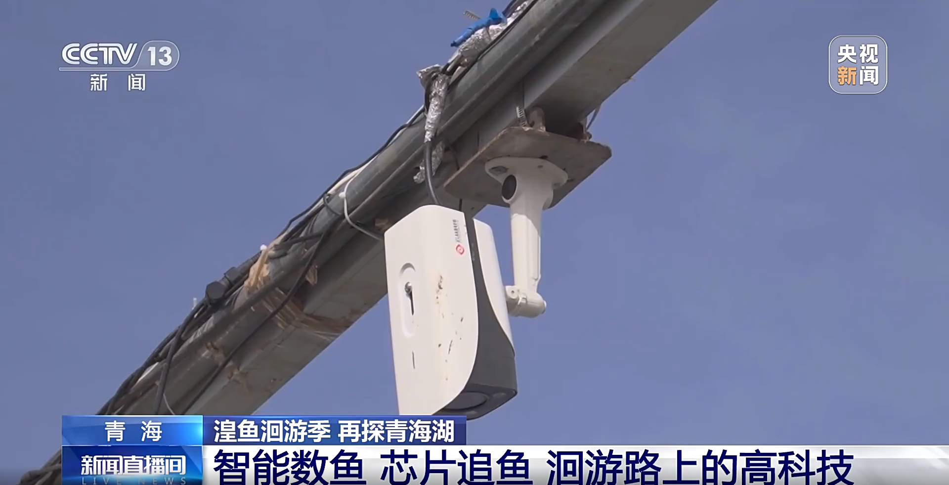 蓝月亮综合正版资料
